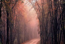 金年会集团-冷静应对，逆转胜利：羽毛球选手的胜利之道