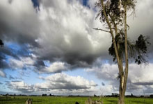 金年会集团-伊蒂哈德之夜：蓝月锋刃刺穿钢铁防线，曼城主场完胜国米登顶在望