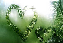 金年会娱乐-阿尔希拉尔主场迎战西雅图海湾者，锋线火力引爆看点