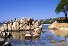 金年会-非洲杯篮球烽火：美欧非三大外援军团谁主沉浮？