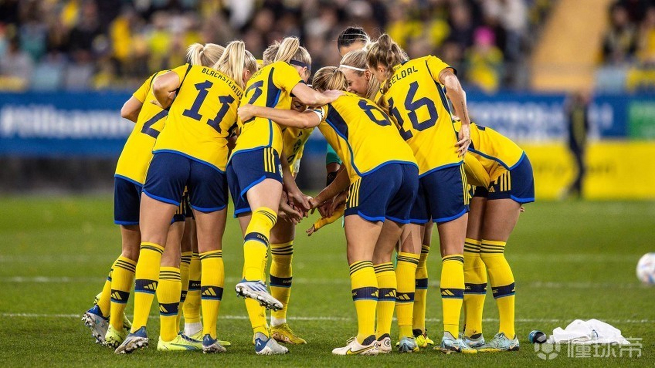 瑞典队在国际女足比赛中获得胜利 瑞典队在国际女足比赛中获得胜利