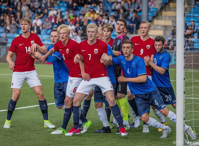 金年会APP-关于苏格兰队小胜爱沙尼亚，意大利难挡的信息