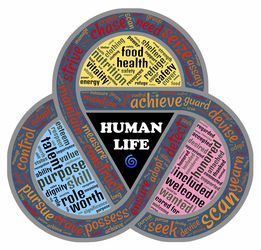 金年会集团-布宜诺斯艾利斯独立新援适应良好，世俱杯表现备受期待