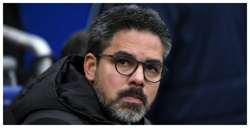 沙尔克遭遇连败,战绩下滑难掩困境的简单介绍 沙尔克遭遇连败,战绩下滑难掩困境的简单介绍