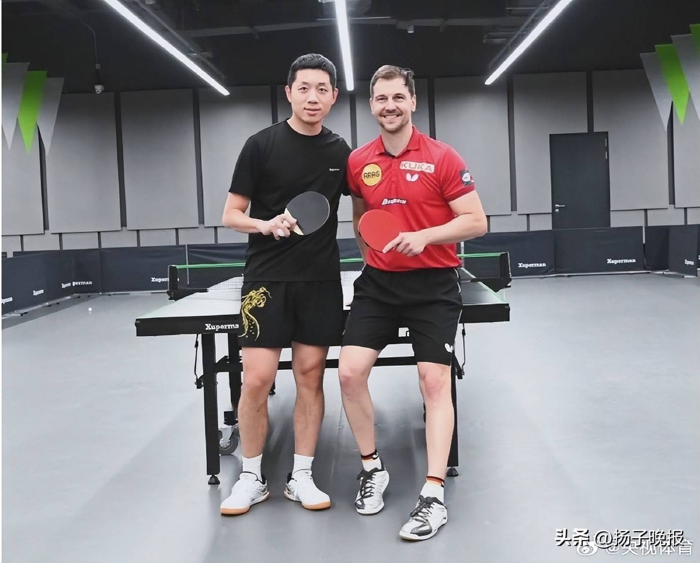 英国乒乓球队绝杀法国乒乓球队,波尔制霸全场的简单介绍 英国乒乓球队绝杀法国乒乓球队,波尔制霸全场的简单介绍