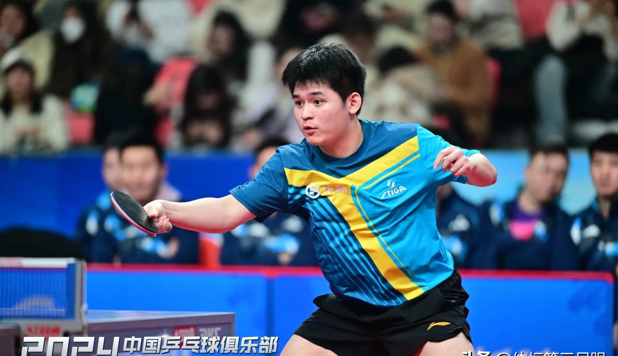 法国乒乓球队爆冷韩国乒乓球队,奥恰洛夫爆发神勇的简单介绍 法国乒乓球队爆冷韩国乒乓球队,奥恰洛夫爆发神勇的简单介绍