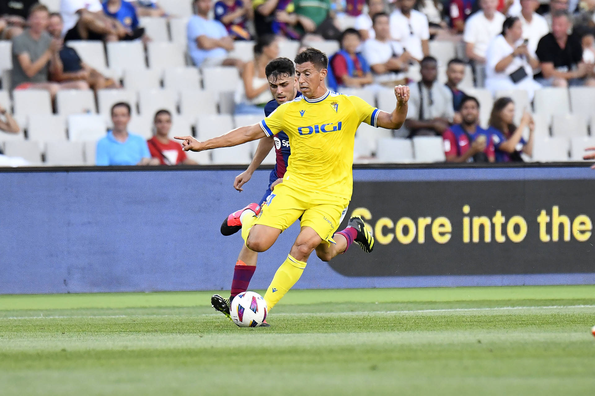 博洛尼亚球迷为球队连败喊冤 博洛尼亚球迷为球队连败喊冤