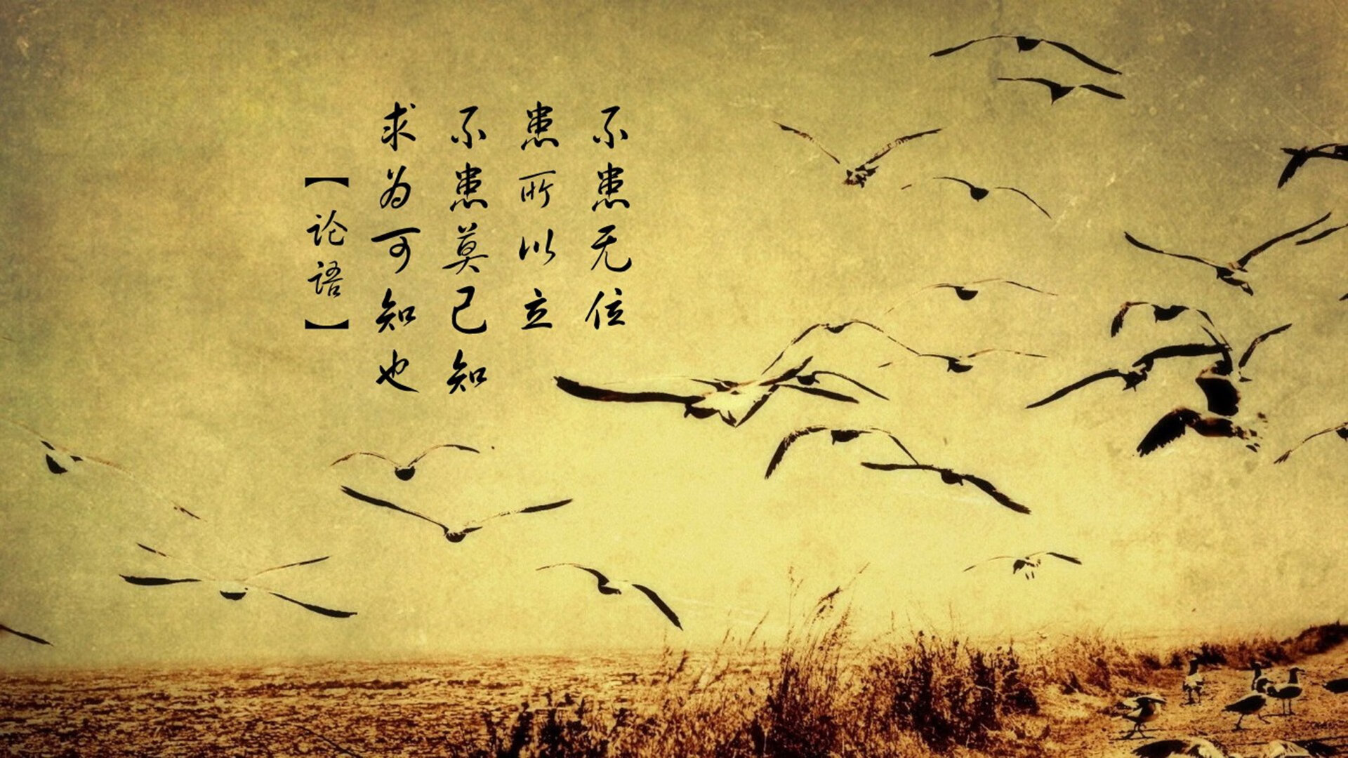 用实力回答，杰伦格林的崛起与雄鹿单节的统治