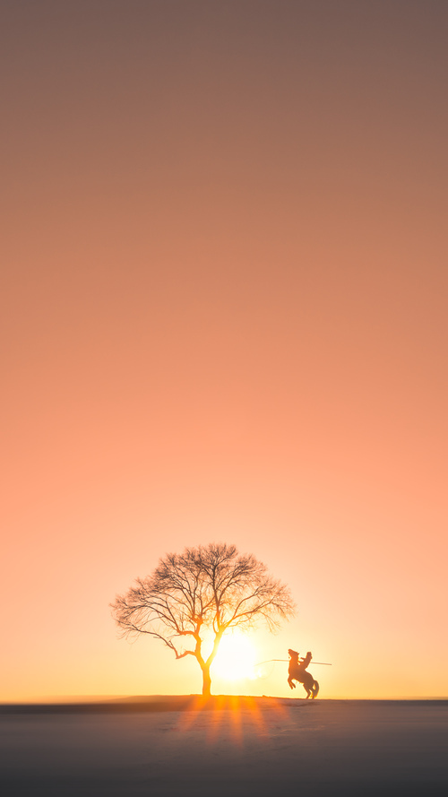 生死战显英雄本色，哈利伯顿关键先生助步行者力克灰熊