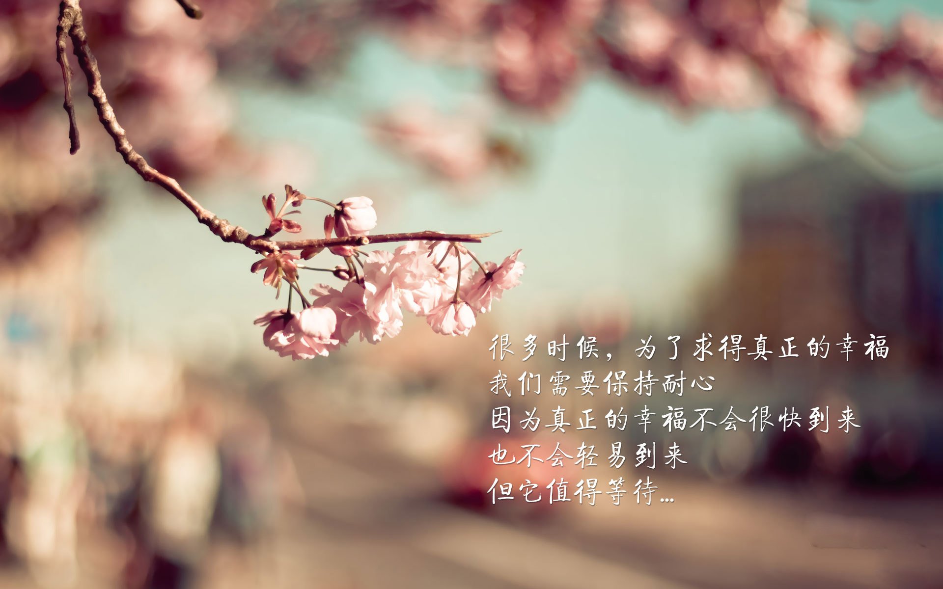 破晓时分，帕尔默如何在南摩大战中编织攻防乐章