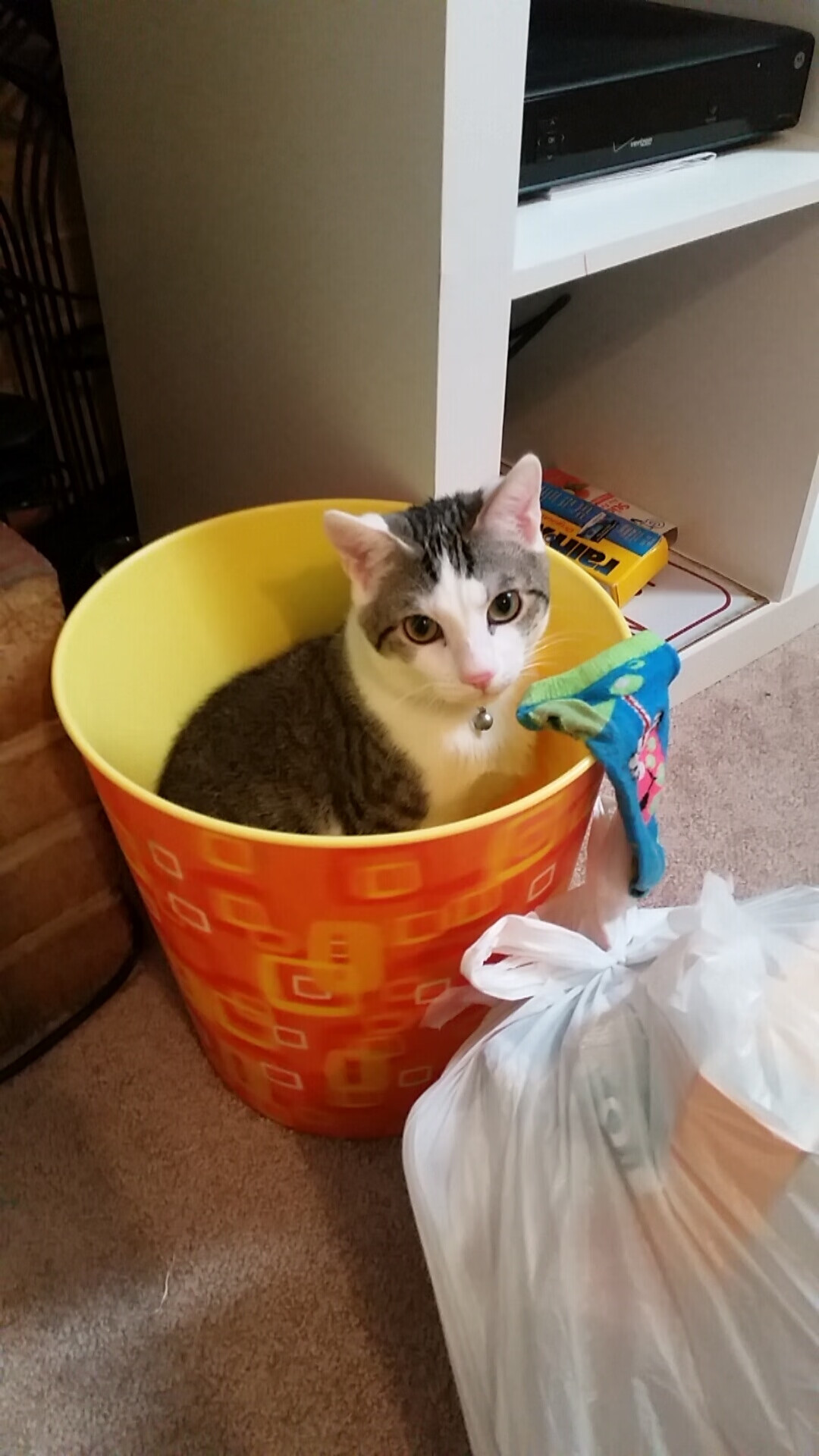 金年会-欧冠决赛焦点战，爱尔兰制霸日本的绿茵传奇