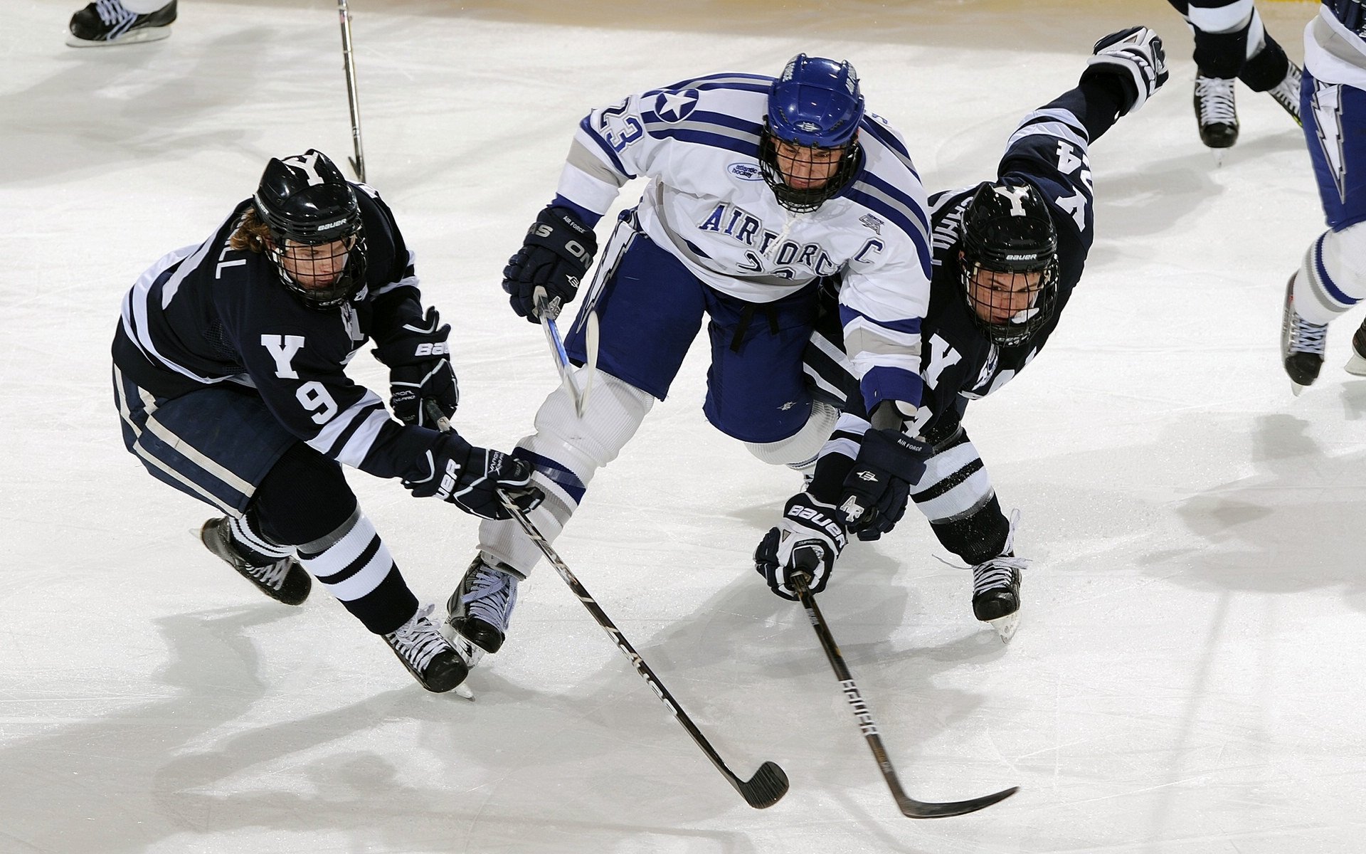德意志屏障镇压三狮军团，德里赫特的沉默宣言