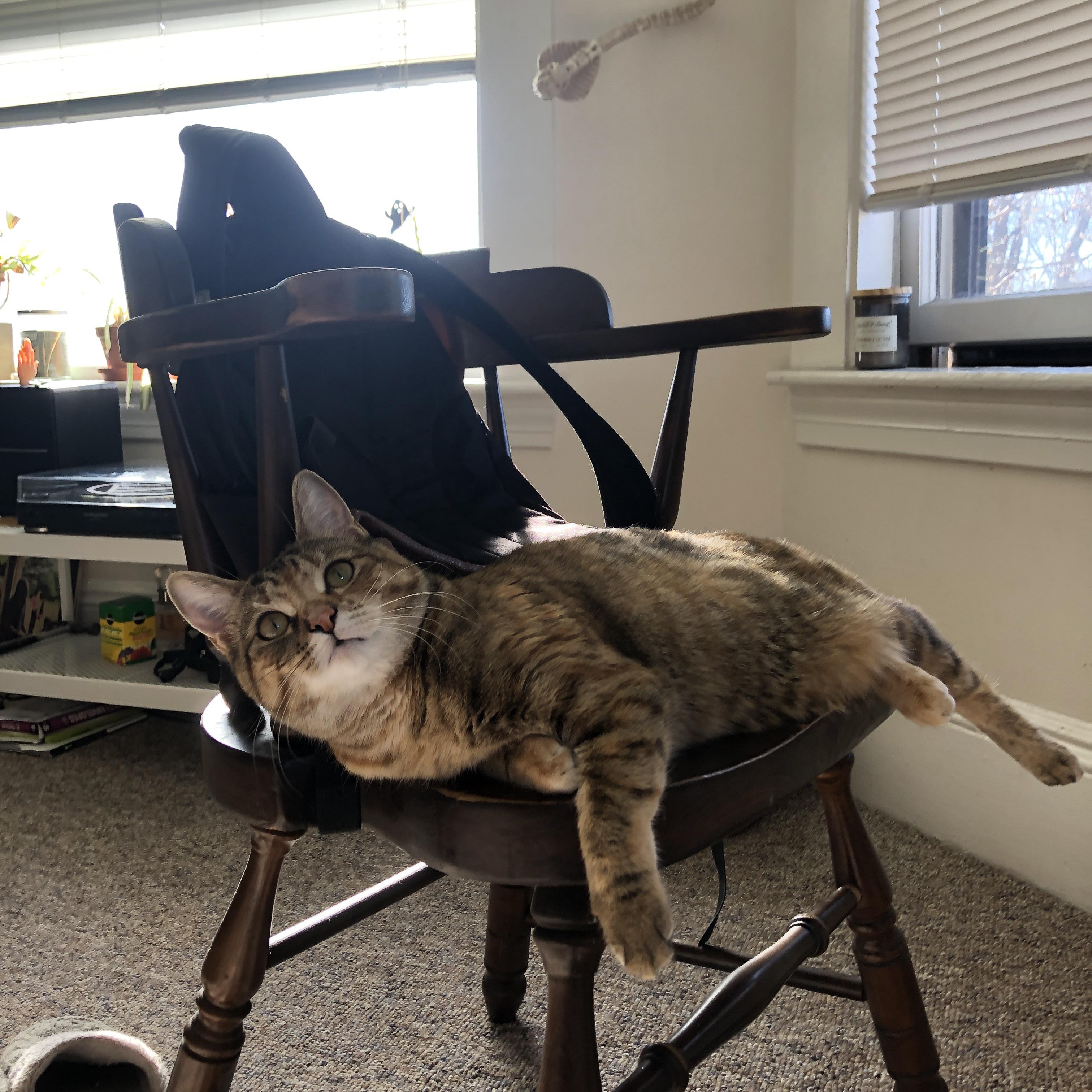 利拉德关键先生闪耀，爵士狂胜掘金展团队雄风