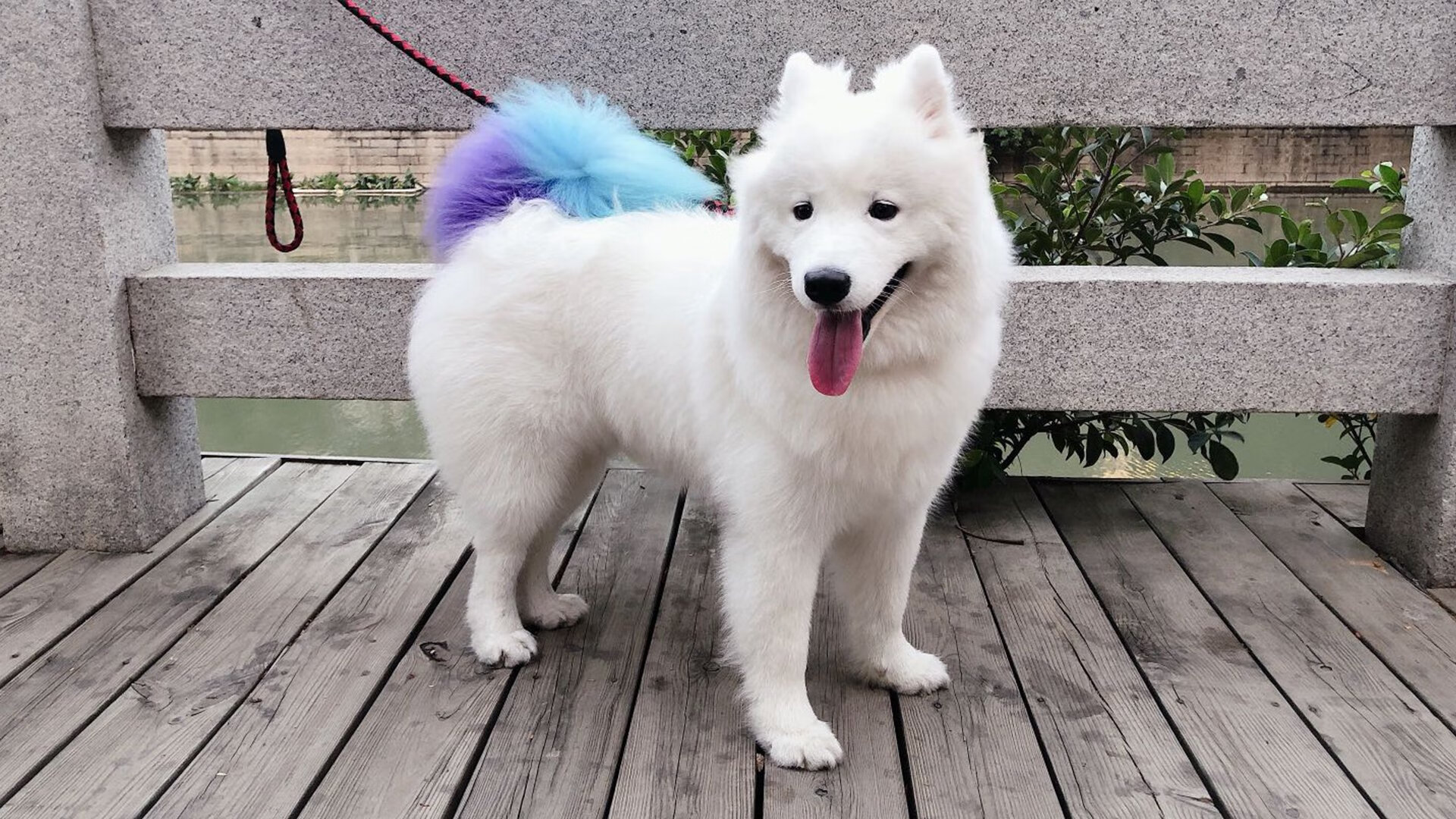 金年会电子-绝杀！卡塔尔惊险取胜，梅西再显巨星本色