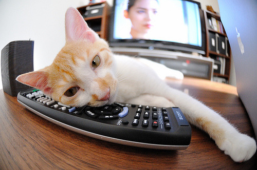 JNH体育-节奏王权与三分神迹，当团队战术与个人英雄主义相互定义