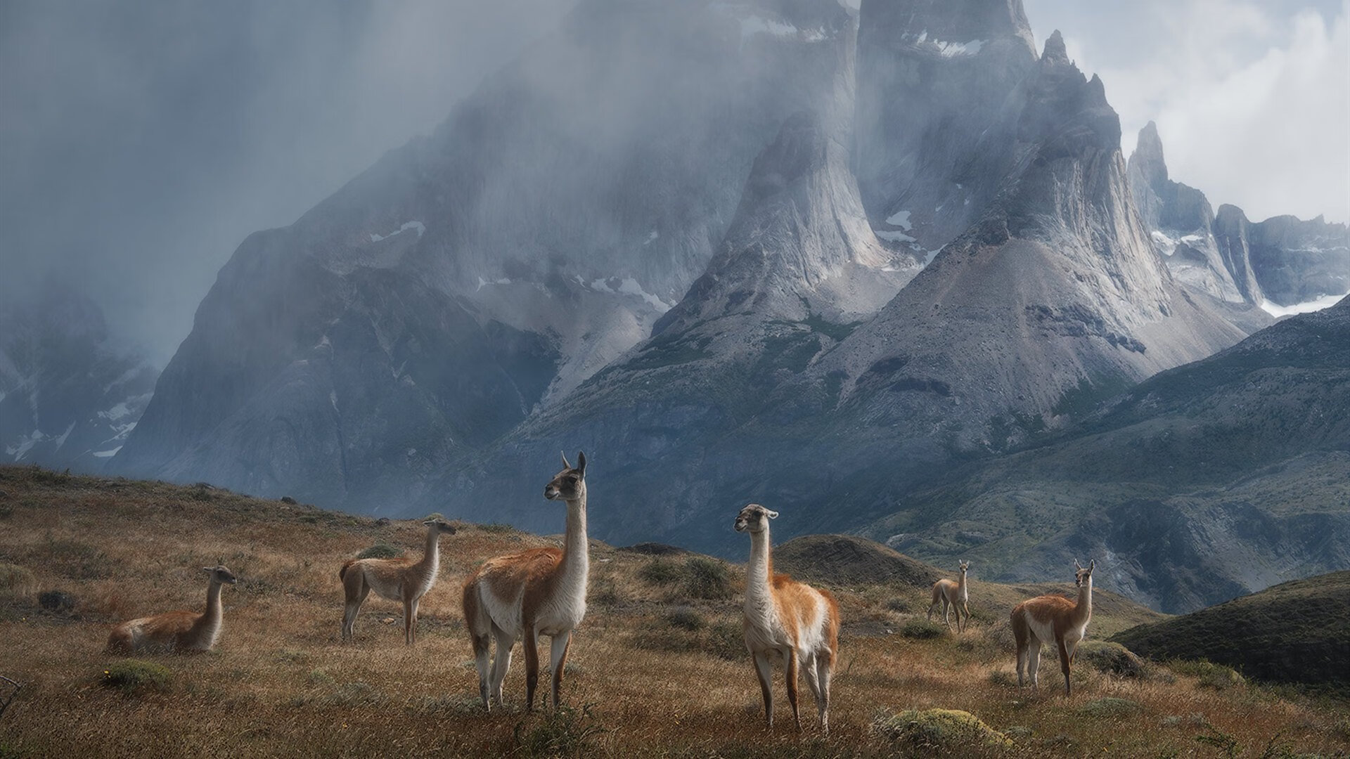 直取孟菲斯，乔治末节神兵天降，太阳三军用命速胜灰熊