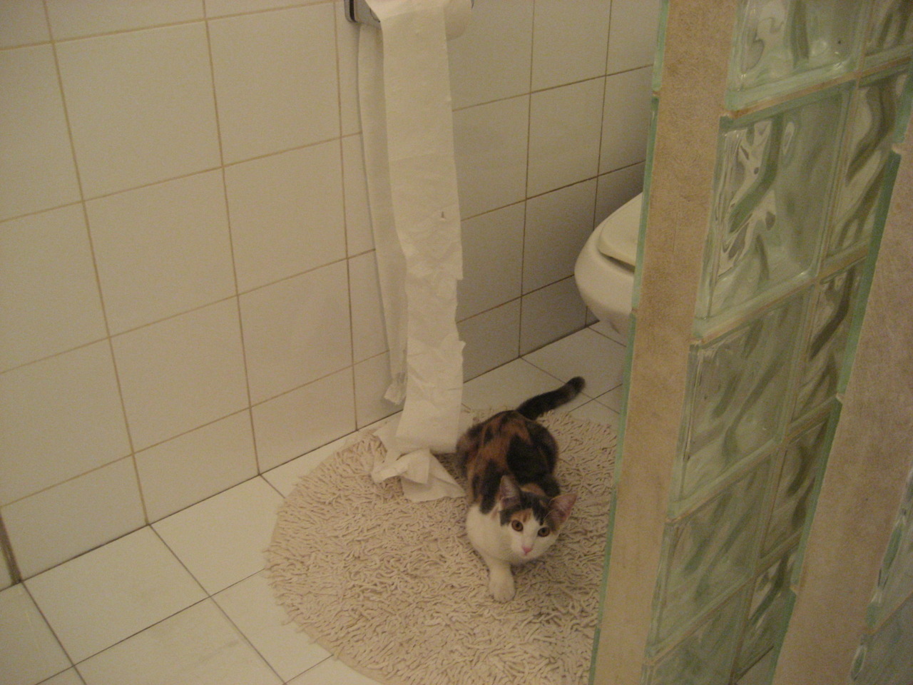 斯通斯爆发破僵局，威尔士压哨定乾坤，一场定义国家精神的胜利