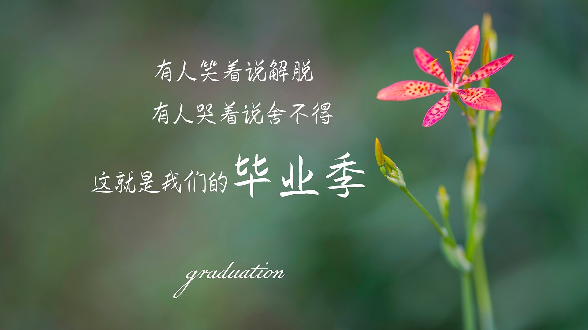 卢卡库天神下凡！独造三球助比利亚雷亚尔客场掀翻毕尔巴鄂