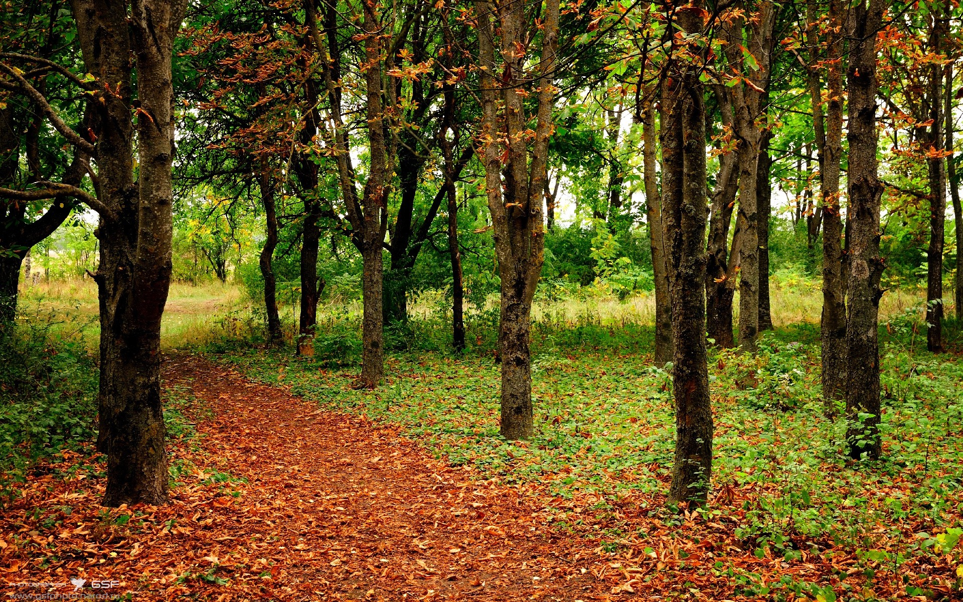 金年会真人-穆勒独木擎天，马赛疾风骤雨击溃哥斯达黎加