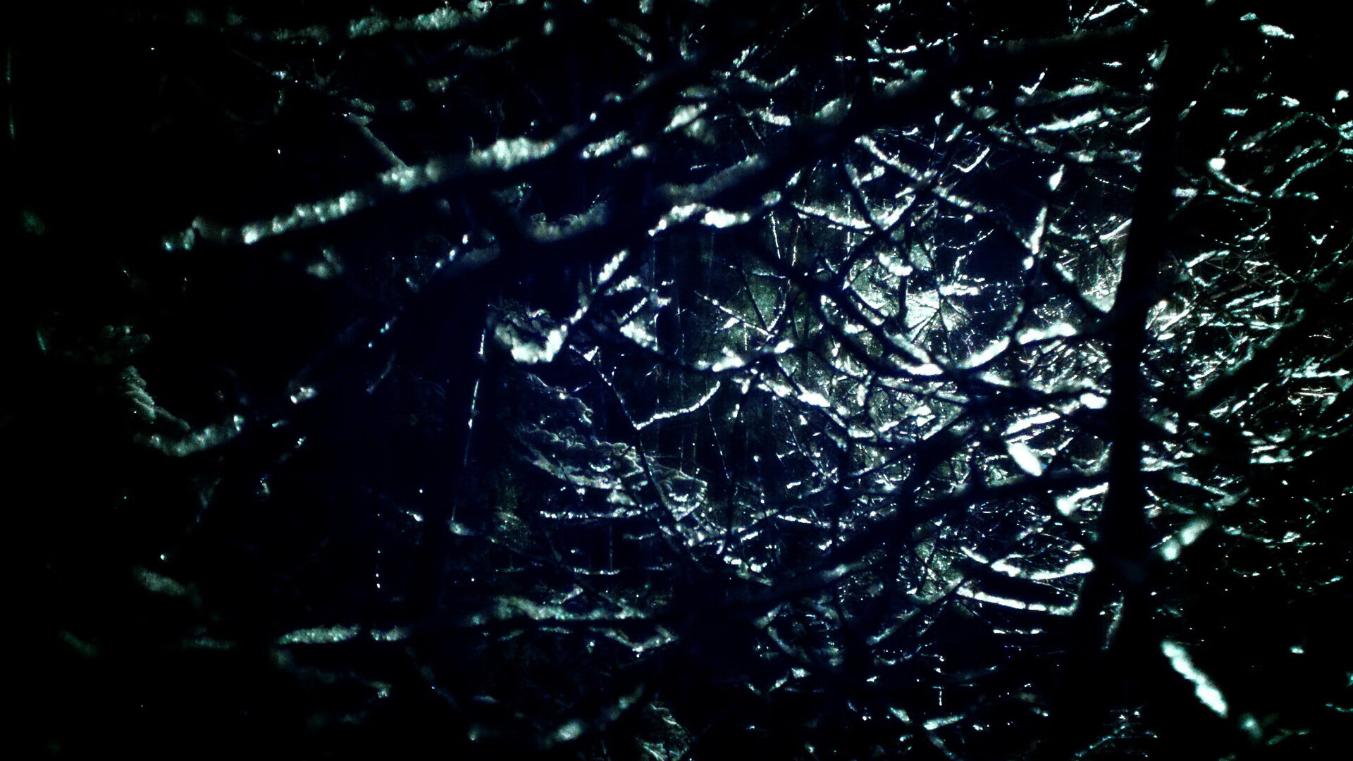 NBA总决赛焦点战，尼日利亚力克英格兰夺冠创历史