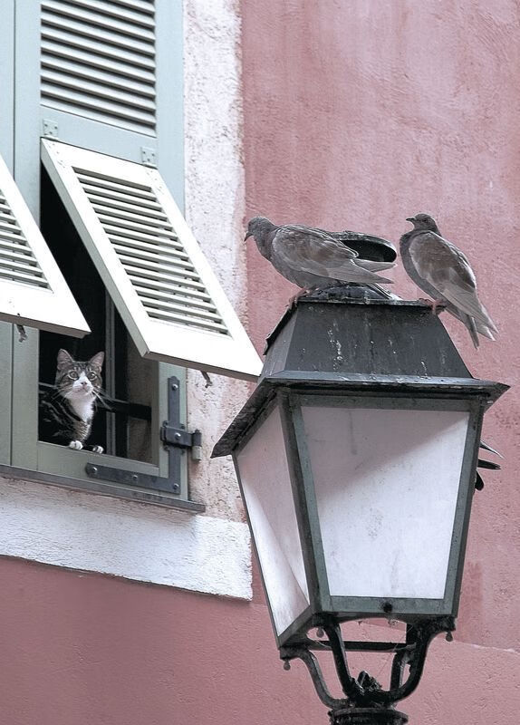 德甲争冠夜惊现外来的王！37岁莫德里奇以一敌众撕裂拜仁防线